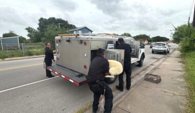 More than 30 animals removed during Corpus Christi eviction