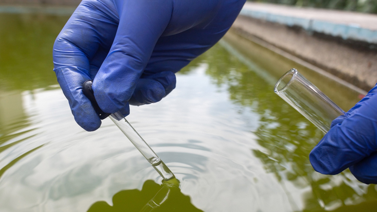 Cocaine In Dallas Wastewater? New Federal Report Ranks County Among Highest