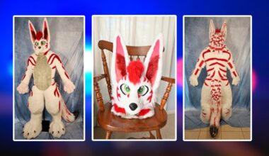 Texas man sentenced to federal prison after sexually abusing minor at furry convention
