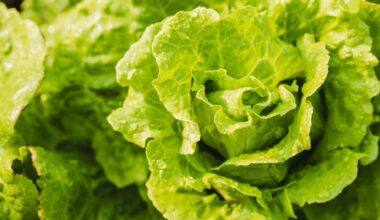 Dallas' Children's Health confirms treating two patients with cyclospora