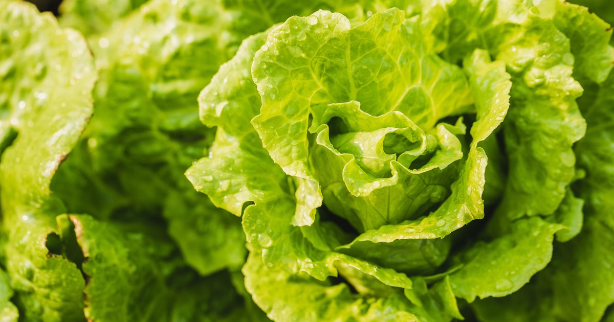 Dallas' Children's Health confirms treating two patients with cyclospora