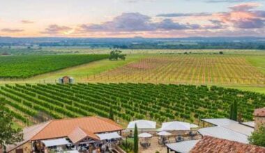 Texas Hill Country named among 3 best wine region in the US