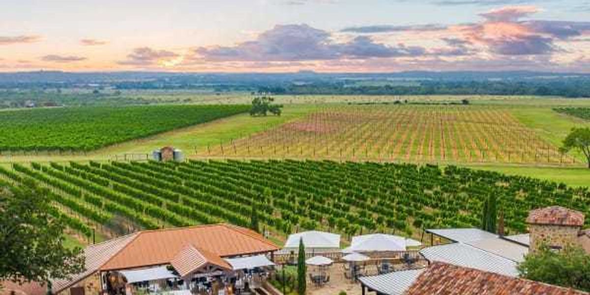 Texas Hill Country named among 3 best wine region in the US