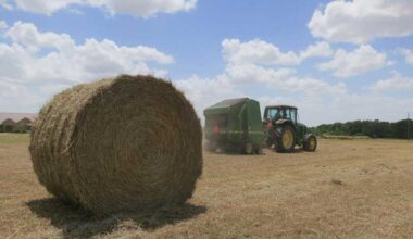 Rainfall across parts of Texas is creating challenges for hay producers, delaying harvest and, in some cases, affecting hay quality despite strong forage growth.