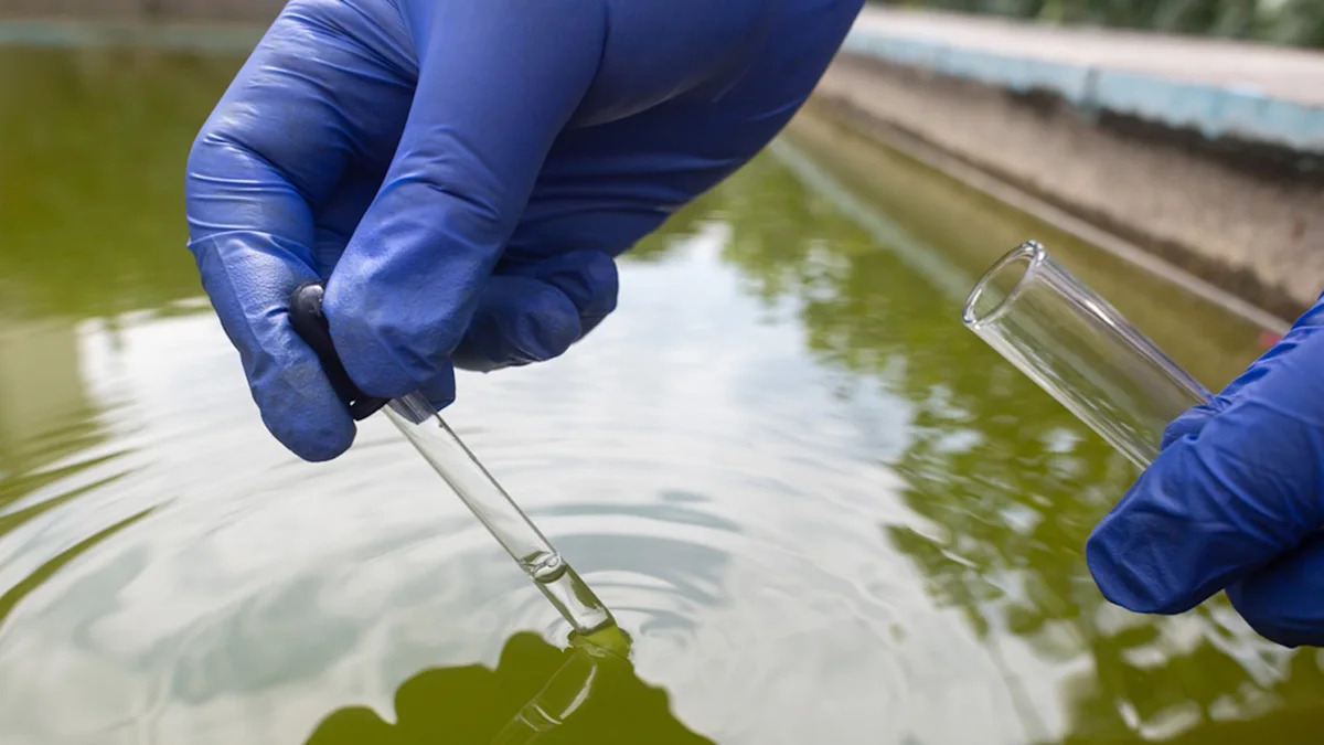 Cocaine In Dallas Wastewater? New Federal Report Ranks County Among Highest