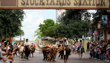 Saddle up and celebrate National Day of the Cowboy in North Texas