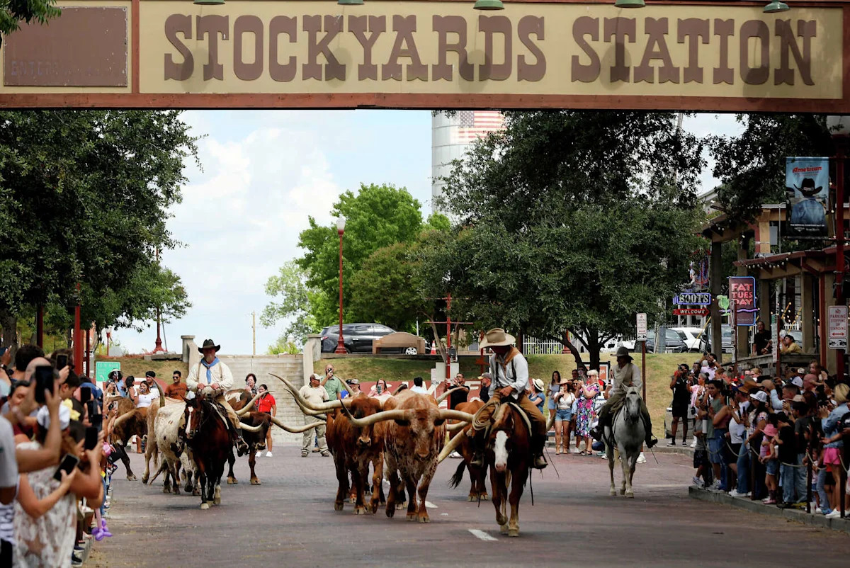 Saddle up and celebrate National Day of the Cowboy in North Texas