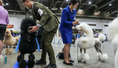 Photos capture Houston World Series of Dog Shows at NRG Center