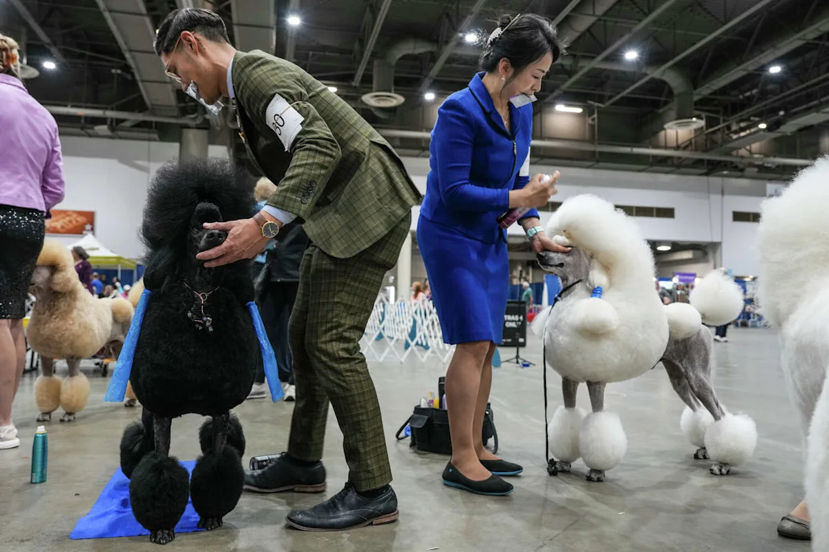 Photos capture Houston World Series of Dog Shows at NRG Center