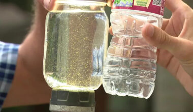 Texas environmental report details Trinidad water issues; state issues deadline for improvement plan