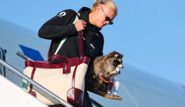 Erling Haaland brings stuffed raccoon from Dallas western store back to Norway