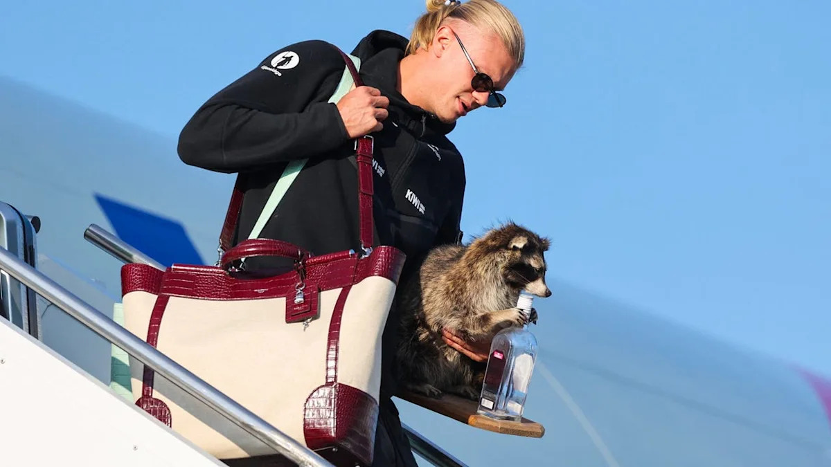 Erling Haaland brings stuffed raccoon from Dallas western store back to Norway