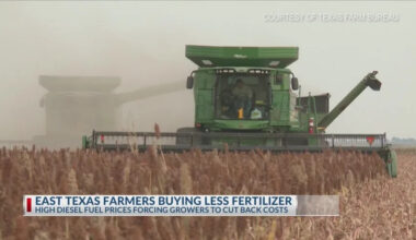 East Texas farmers using less fertilizer as prices climb