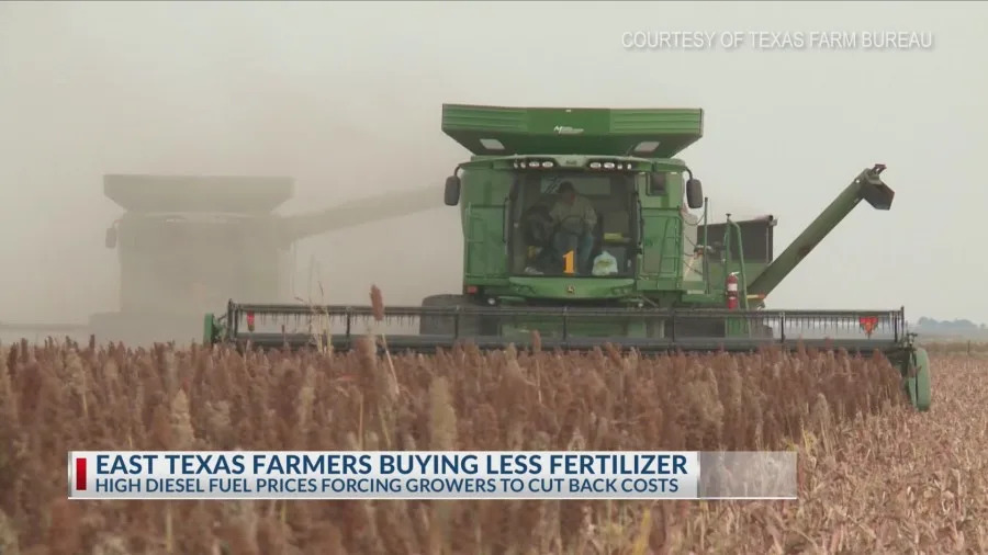 East Texas farmers using less fertilizer as prices climb