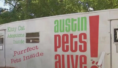 Local animal shelter rescues 17 pets from Texas flooding