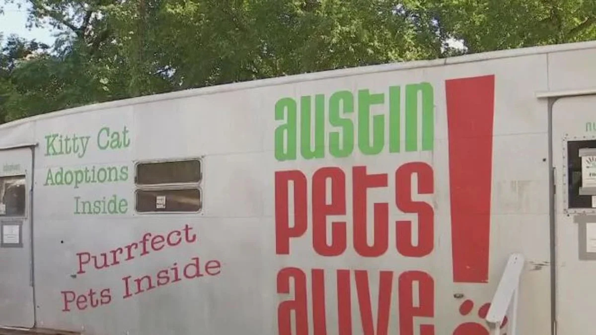 Local animal shelter rescues 17 pets from Texas flooding