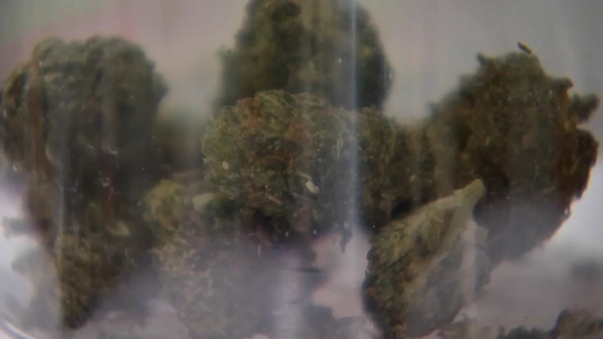 Texas is banning several THC products. What will still be legal on July 31?