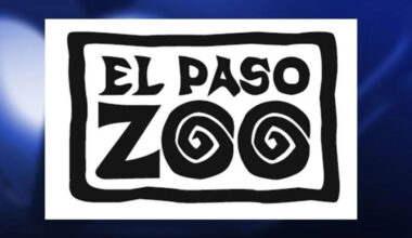 El Paso Zoo honors its staff during National Zookeeper Week