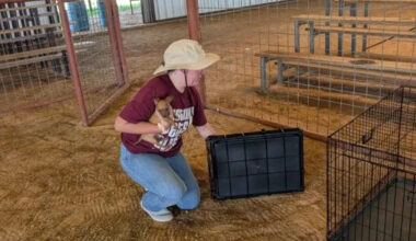 Austin Pets Alive! deploys flood response teams as south Texas communities brace for rising rivers