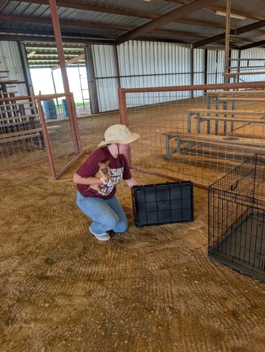 Austin Pets Alive! deploys flood response teams as south Texas communities brace for rising rivers