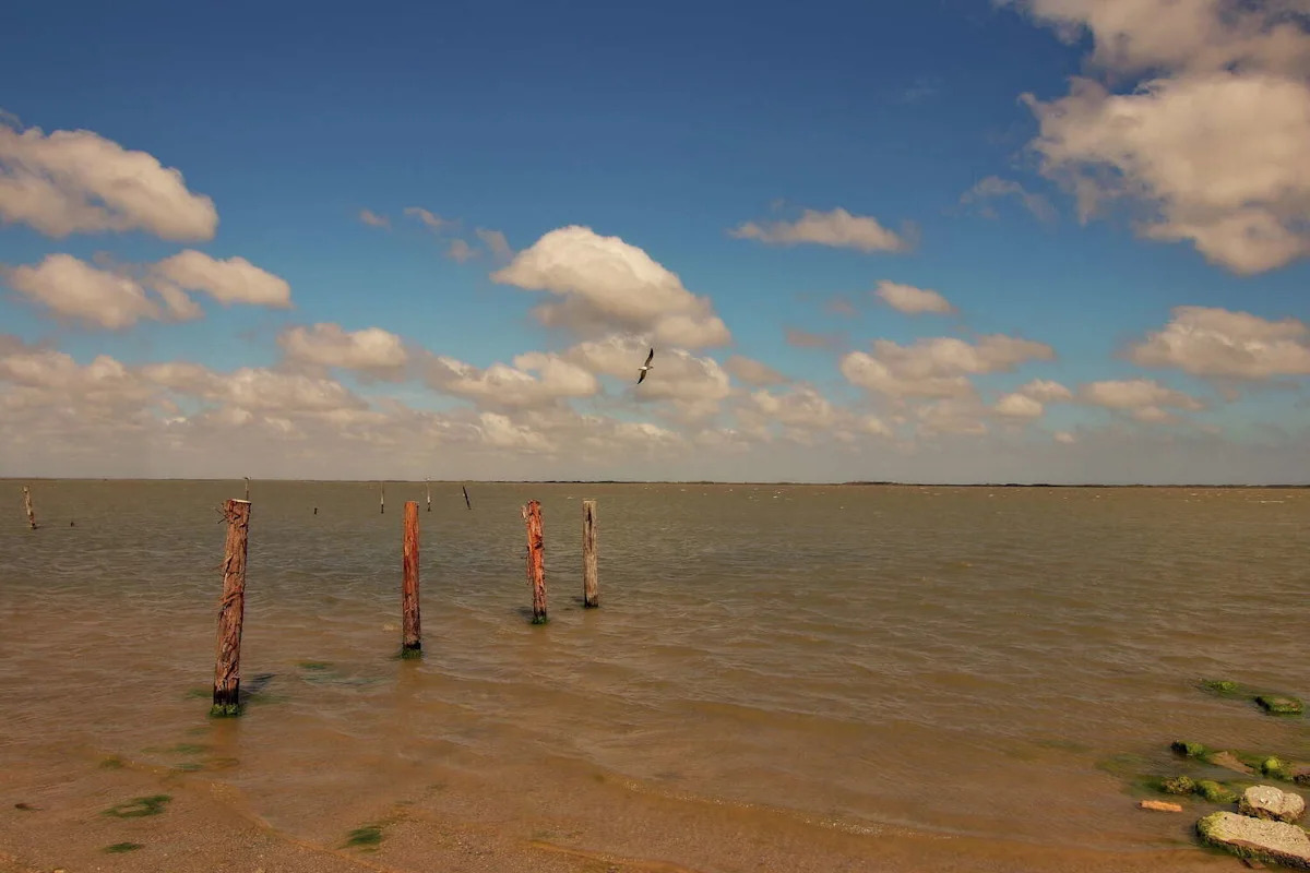 What we know about the deadly Texas boat crash that killed a 16-year-old
