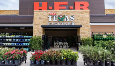 6 San Antonio-area companies named best places to work by U.S. News. See which companies made it.