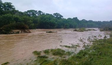 Texas Hill Country hit with flash flood emergency after 16 inches of rain, dozens rescued