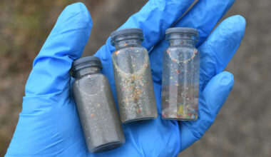 Texas study finds microplastics in nearly every North Texas waterway, urges action