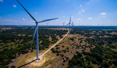 Texas environmentalists seek renewable siting laws, say bans would mean more pollution