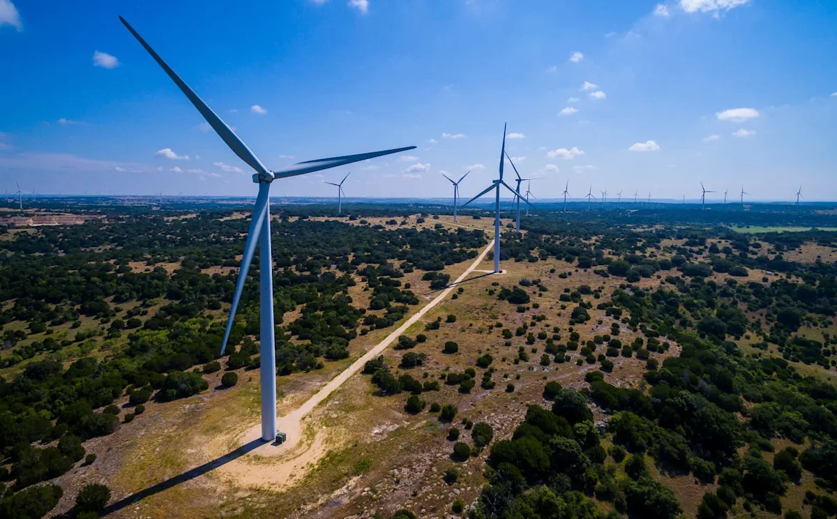 Texas environmentalists seek renewable siting laws, say bans would mean more pollution