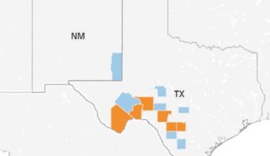 Screwworm detected in 13 Texas counties since June 3