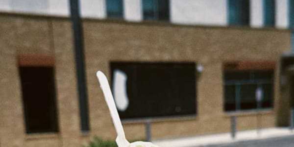 7 best San Antonio ice cream shops for surviving summer