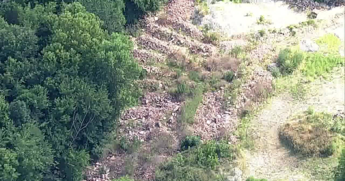 Potential illegal dumping site in southern Dallas prompts multi-agency investigation