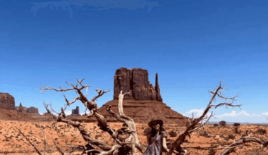 Austin nail artist publishes solo Southwest travelogue