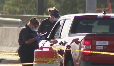Homeless man shot by driver after breaking car window with pocketknife: APD