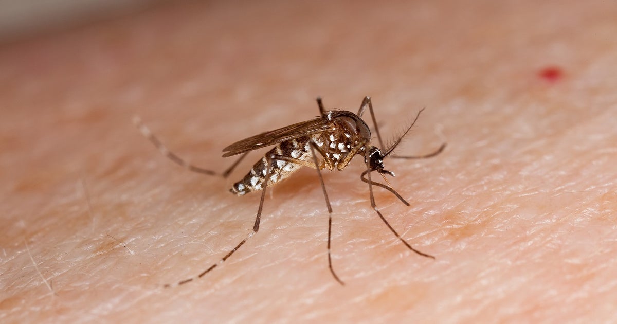 West Nile virus in Travis County: Mosquito pool tests positive