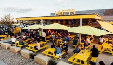 Mutts Canine Cantina closes all locations & more Dallas news