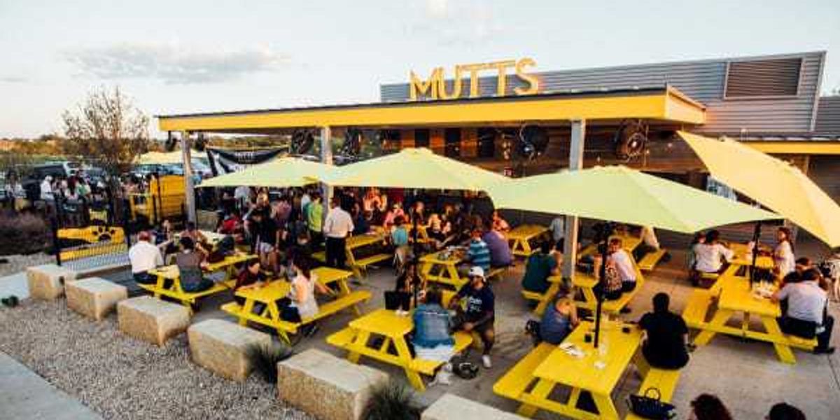 Mutts Canine Cantina closes all locations & more Dallas news