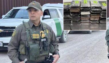 Texas border officers seize $10.8M worth of cocaine hidden in cabbage shipment
