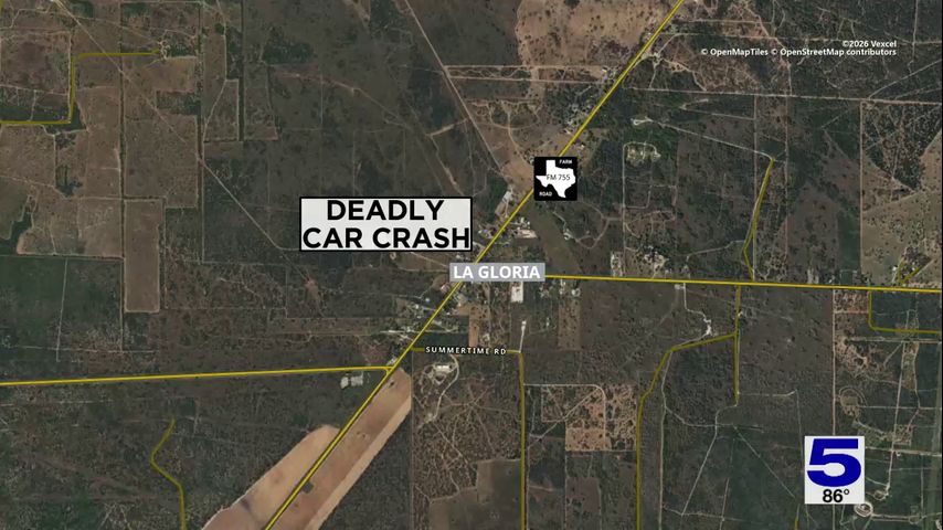 Houston man killed in Starr County crash