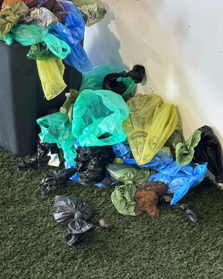 closeup photo of several dog poop bags