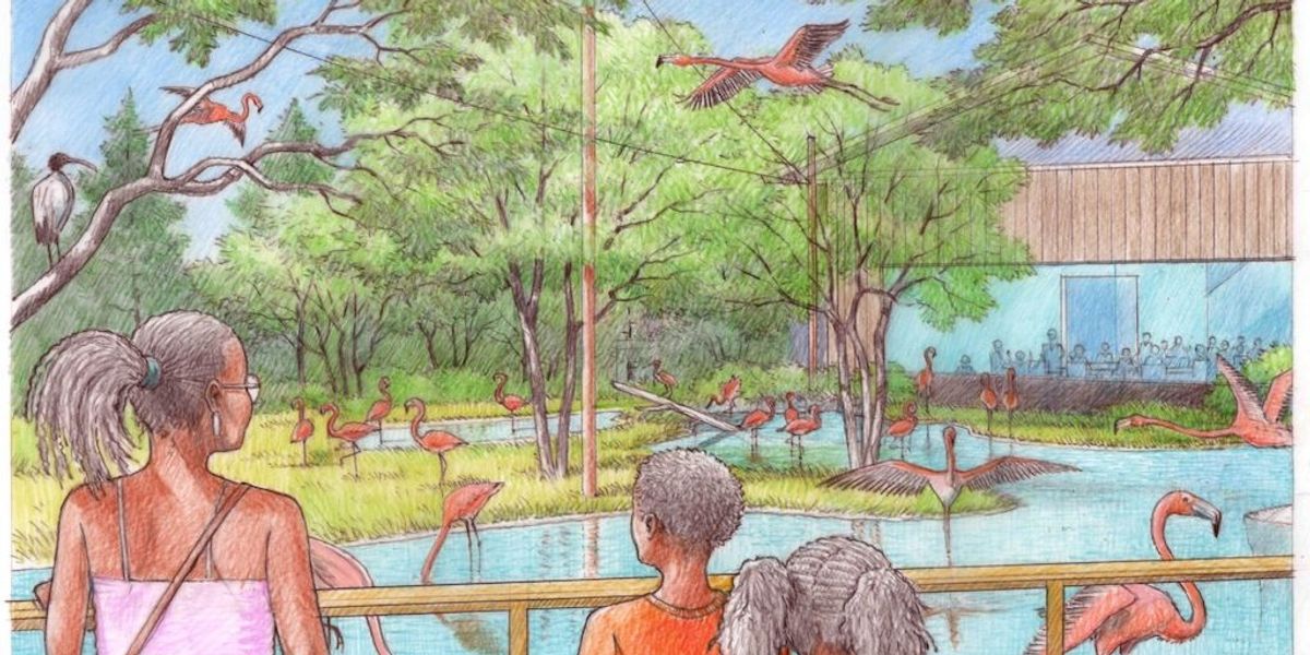 Dallas Zoo | first look African Shorelines expansion
