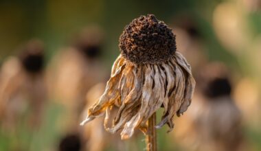 7 Things Lubbock Summer Heat Keeps Pushing To September