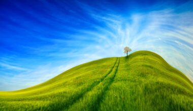 The Tiny Hills Lubbock Residents Are Willing To Die On