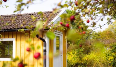 10 Things Lubbock Homeowners Should Do Before Fall Arrives