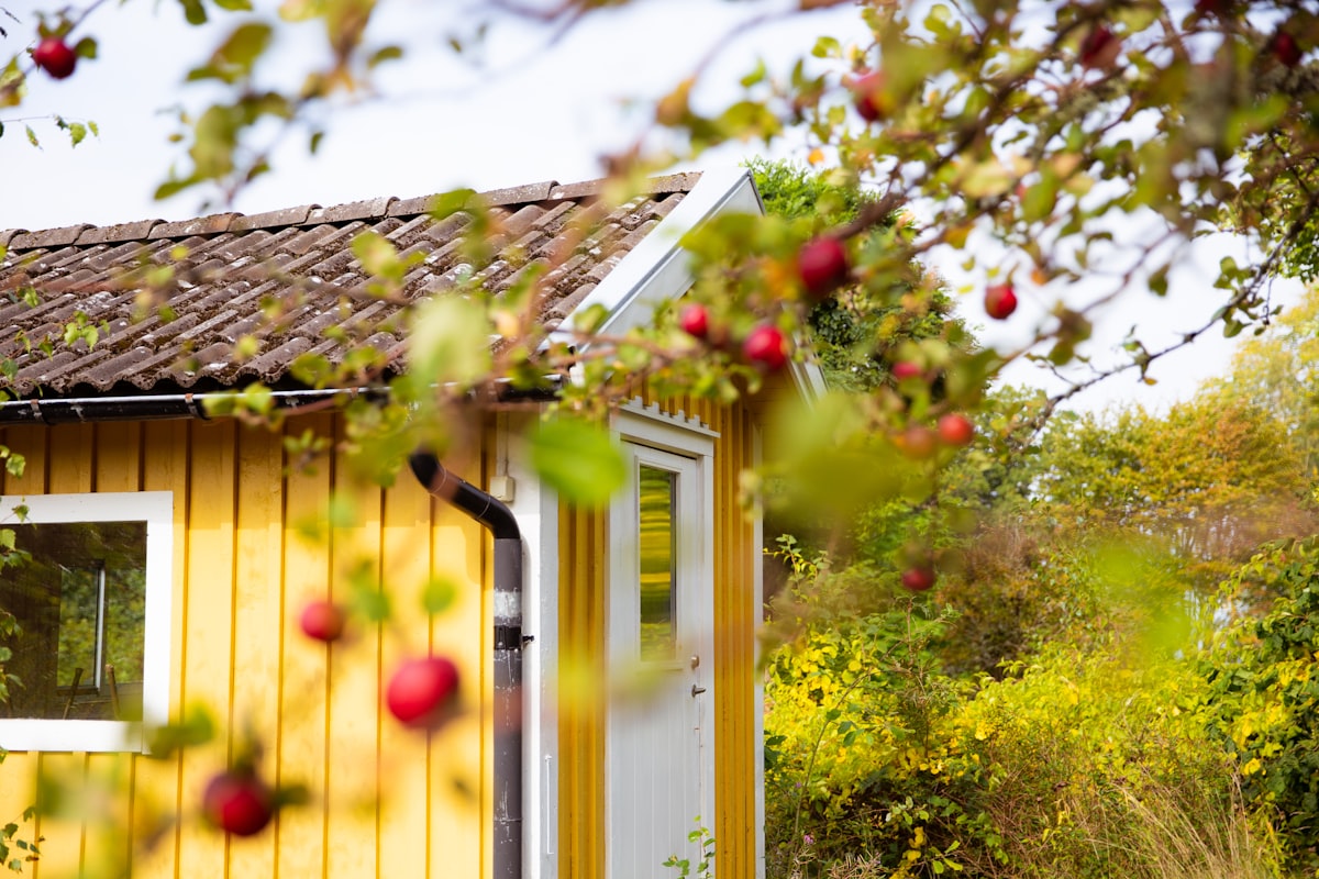10 Things Lubbock Homeowners Should Do Before Fall Arrives