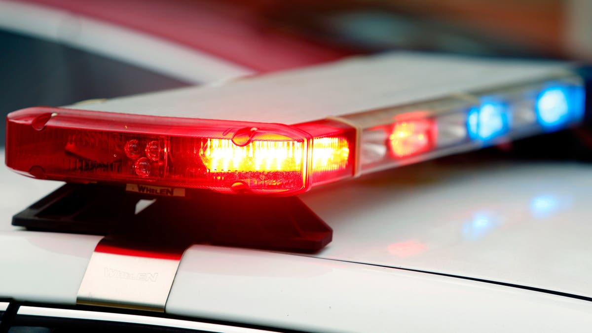 Police vehicle lights