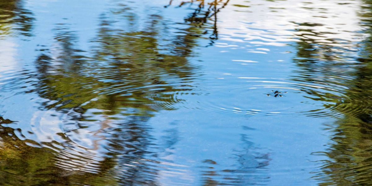 ​Two people drown after kayak overturns in east Fort Worth pond