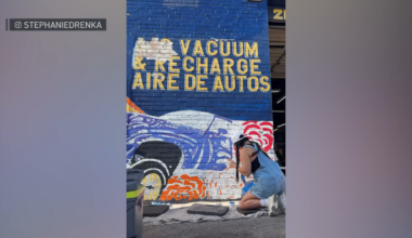 Oak Cliff mural honoring Sylvia Collins to be unveiled Sunday – NBC 5 Dallas-Fort Worth