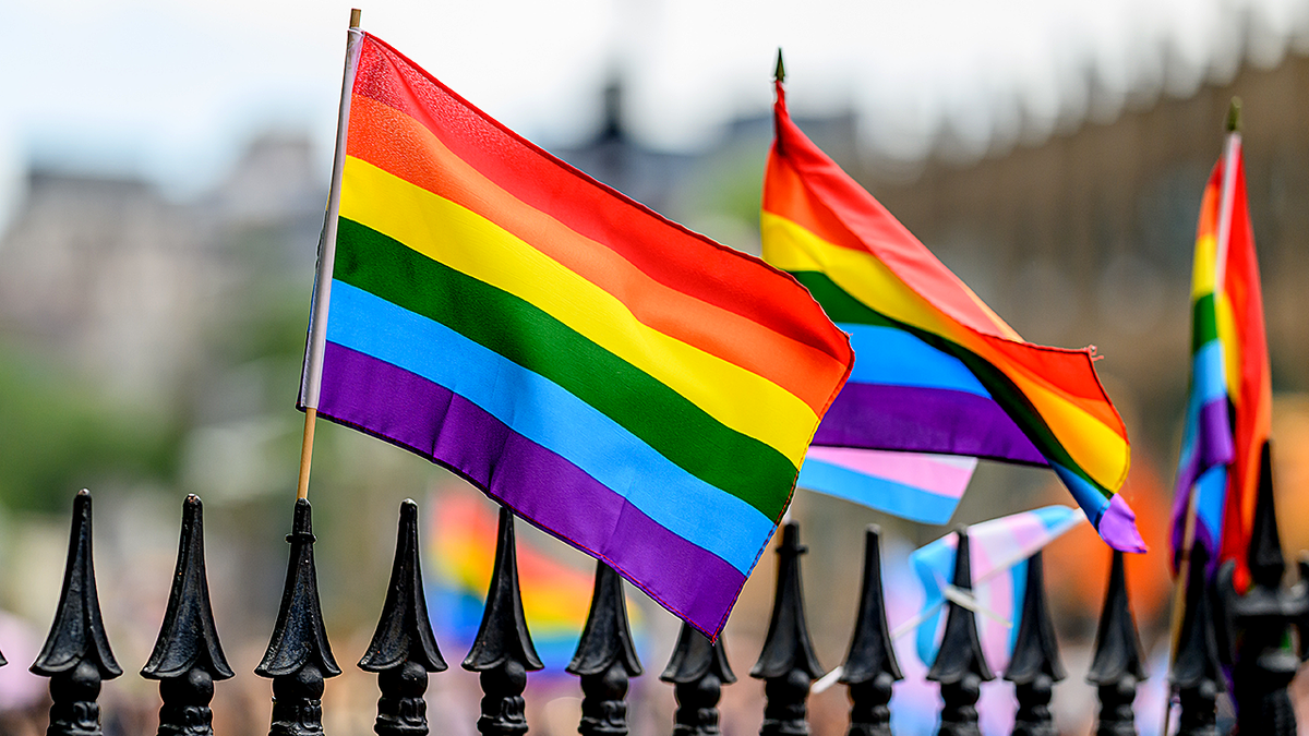 Rainbow flags sit atop a gate